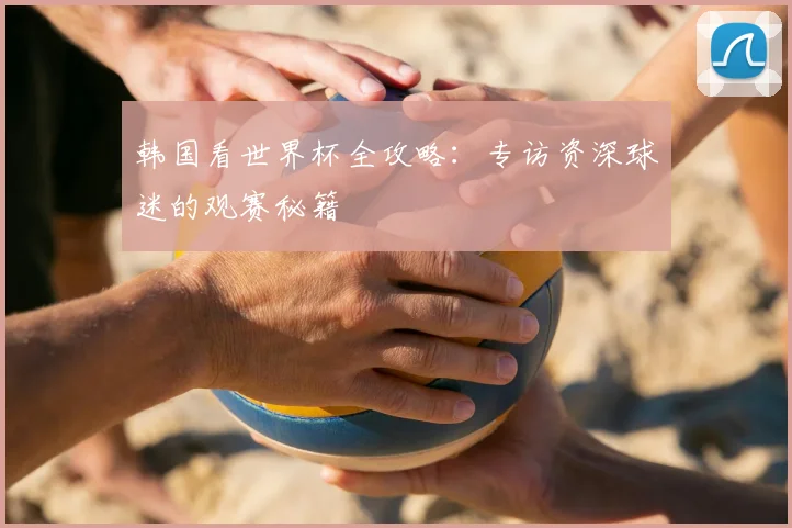 韩国看世界杯全攻略：专访资深球迷的观赛秘籍