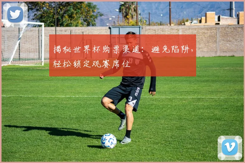 揭秘世界杯购票渠道：避免陷阱，轻松锁定观赛席位