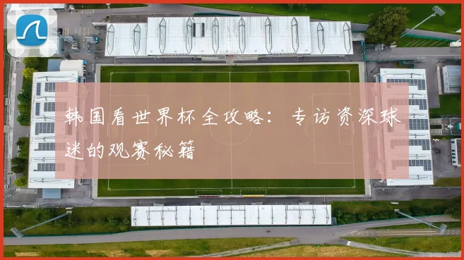 韩国看世界杯全攻略：专访资深球迷的观赛秘籍