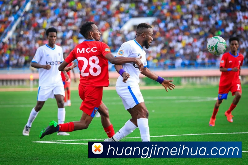 App Interface Preview