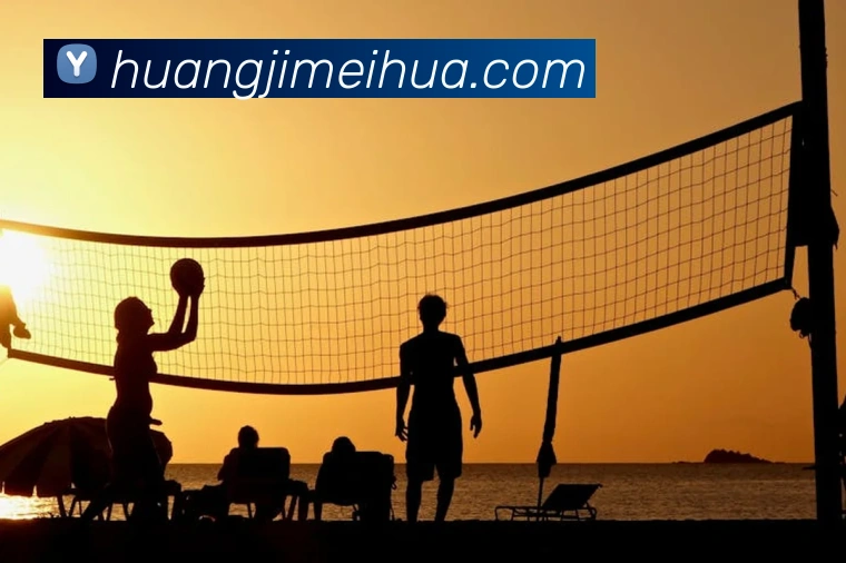 新爱体育百科APP 封面图